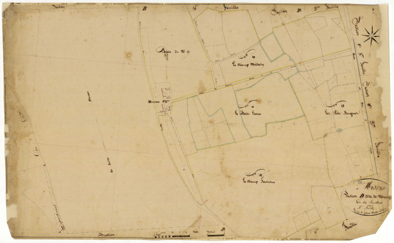 Mesves-sur-Loire, cadastre ancien : plan parcellaire de la section D dite de Mouron, feuille 5