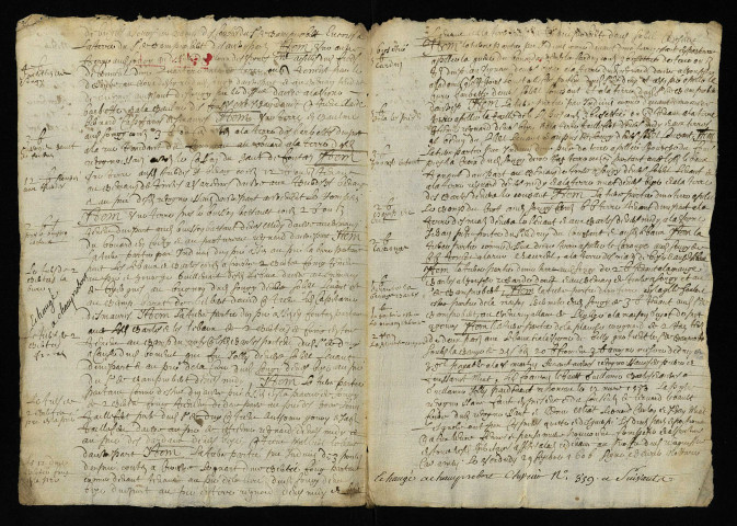 Fief de Druy : extraits du terrier et de lièves terrier.