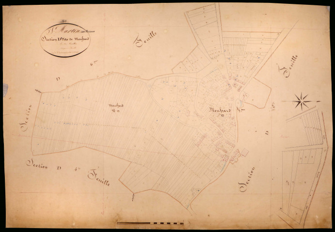 Saint-Martin-sur-Nohain, cadastre ancien : plan parcellaire de la section D dite de Moussard, feuille 5