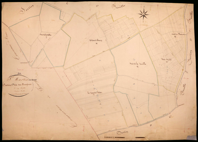 Saint-Martin-sur-Nohain, cadastre ancien : plan parcellaire de la section C dite des Bruyères, feuille 2