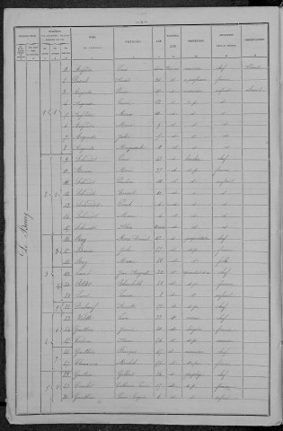 Saint-Léger-des-Vignes : recensement de 1896