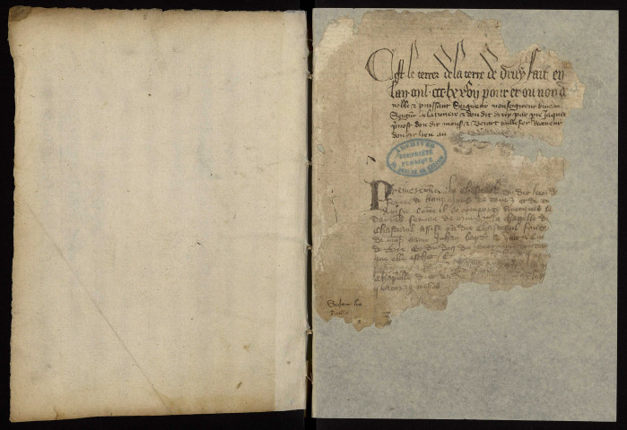 Fief de Druy : terrier.