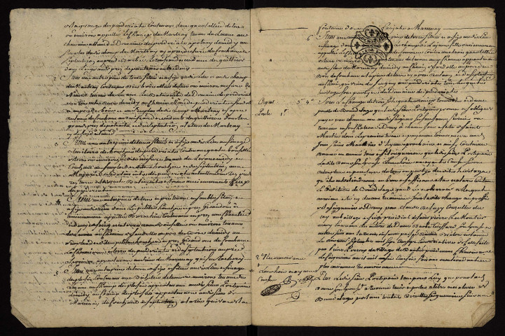 Fief de Druy : terrier.