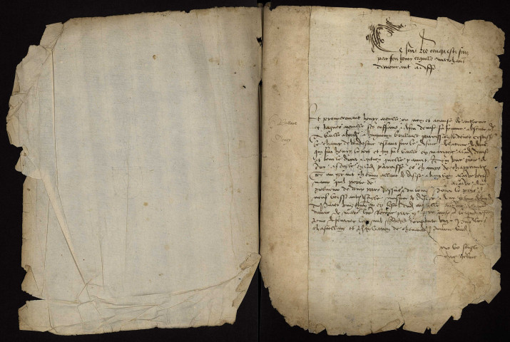 Tenures personnelles à Decize et ses environs : lièves terrier pour la famille Coquille.