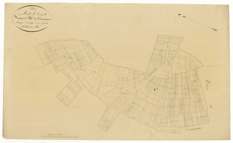 Metz-le-Comte, cadastre ancien : plan parcellaire de la section C dite de Champagne, feuille 1, développement