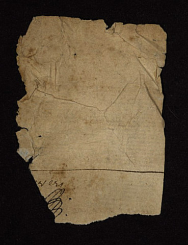 Fief de Pougues : terrier.