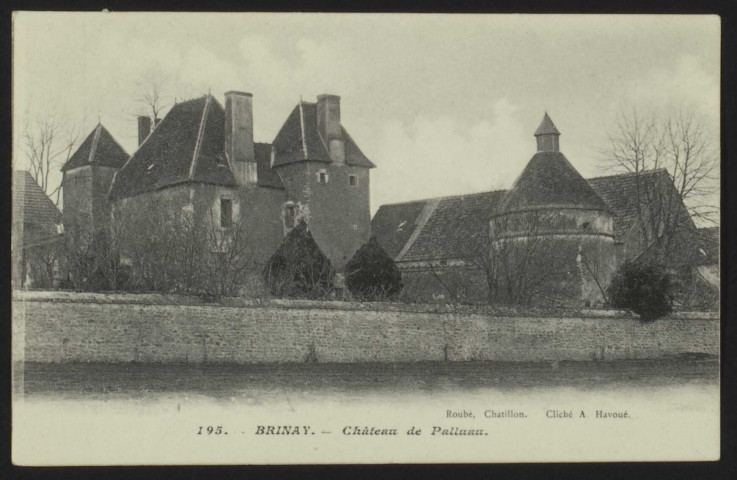 BRINAY – 195. Château de Palluau.