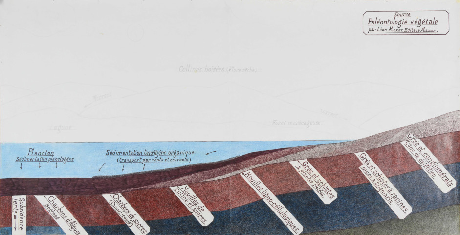 Paléontologie végétale selon Léon Morret, éditions Masson.