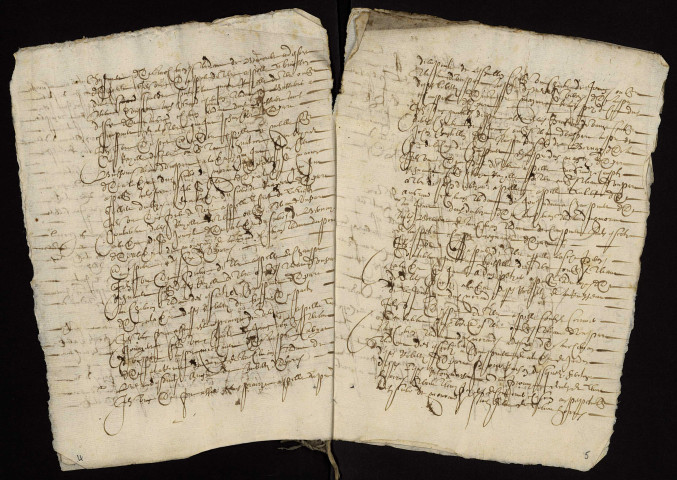 Fief de Morand à Champvert : terrier.