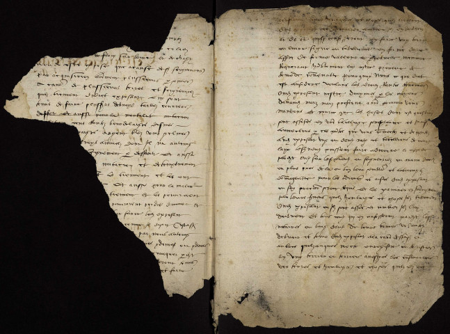 Fief de Fleury-sur-Loire : terrier.