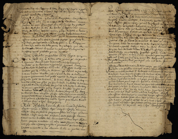 Fief des Fougis à Thionne (Allier) : extrait du terrier de 1581.