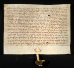 Biens et droits. - Foncier en la paroisse de Rouy, vente par de Bouloy (Boulay) fils à l'abbaye de Bellevaux (commune de Limanton) : contrat.