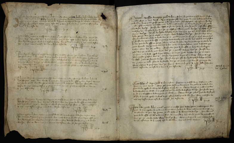 Fief de Beauvoir à Saint-Germain-Chassenay : terrier.