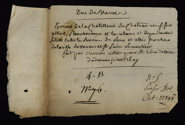 Châtellenie de Châteauneuf-sur-Allier à Mars-sur-Allier, Planchevienne à Magny-Cours et Les Ulmes à Sougy-sur-Loire : terrier.