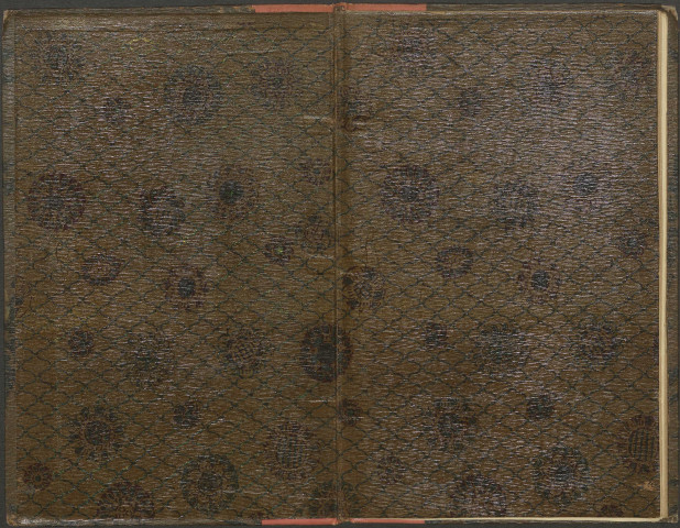 Vair-vert [Vert-Vert] ou les voyages du perroquet de la visitation de Nevers. Poème héroï-comique