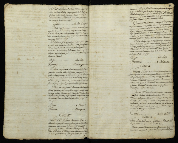 Fief de Bussy-la-Pesle : liève terrier.