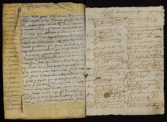 Fief de La Ferté-Chauderon ayant son siège à Langeron : terrier.