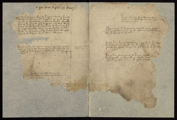 Fief de Druy : terrier.