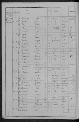 Saint-Amand-en-Puisaye : recensement de 1896