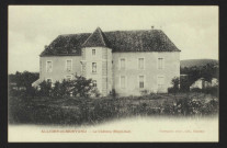 ALLIGNY-en-MORVAND – Le Château (Nord-Est)