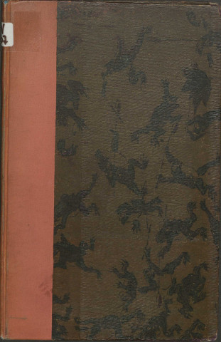 Vair-vert [Vert-Vert] ou les voyages du perroquet de la visitation de Nevers. Poème héroï-comique