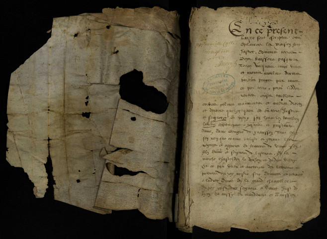 Terrier de la seigneurie de Vitry, pour Bénigne de Granson, tant en son nom qu'en qualité de baillistre de François dé Vienne, son fils, dressé par Antoine Jehannet et Benoît Picault, notaires en la chancellerie de Bourbon-Lancy : copie collationnée le 18 janvier 1576, à la suite de laquelle ont été reliées d'autres pièces.