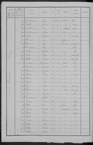 Saint-Brisson : recensement de 1891