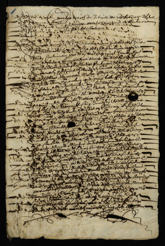 Fief de Beaumont ou de Beaumont et Grenant : extrait du terrier de 1666.