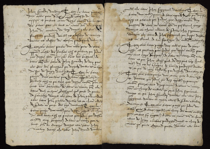 Fief de Druy : terrier.