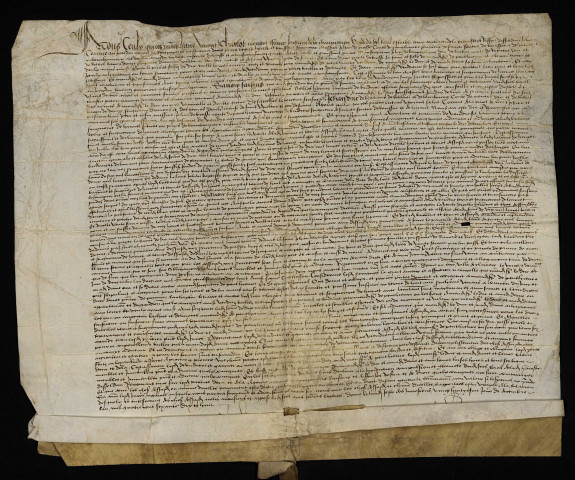 Biens et droits. - Fief et baronnie d'Huriel (département de l'Allier), entérinement de la vente à réméré par de Jean Brosse à son gendre le comte de Nevers : contrat.