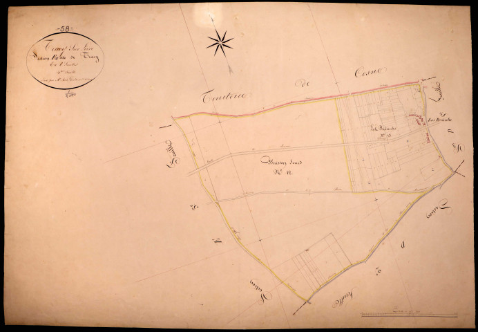 Tracy-sur-Loire, cadastre ancien : plan parcellaire de la section E dite de Tracy, feuille 4