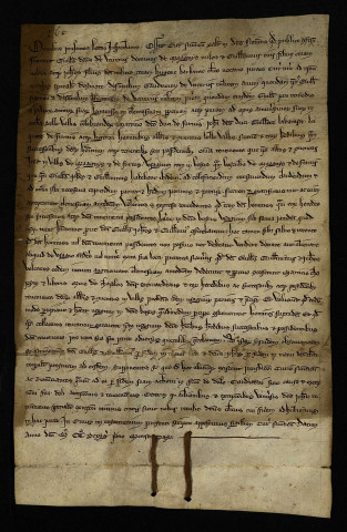 Biens et droits. - Donation Gaudry et de Verrières, cession d'usages à Marigny en faveur de l'abbaye de Bellevaux (commune de Limanton) : ratification des descendants.