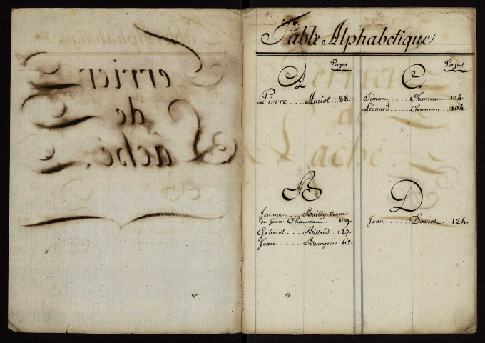 Fief de Laché : terrier avec dessin parcellaire de la Vignotte.