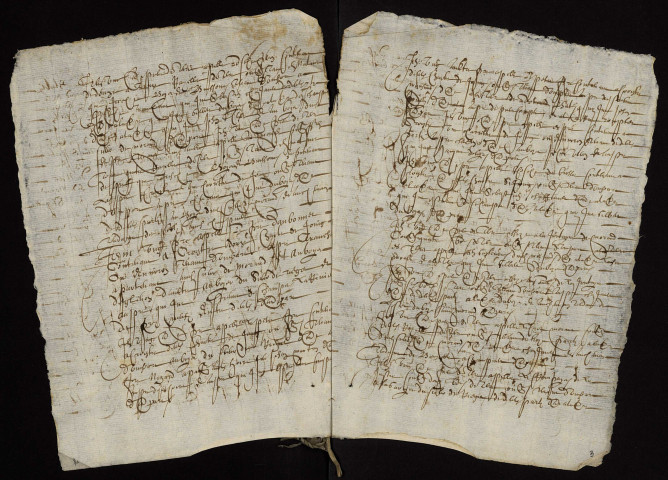 Fief de Morand à Champvert : terrier.