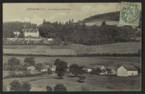 LAROCHEMILLAY . - Le Château de Rivière