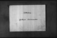 Flez-Cuzy : registres paroissiaux de la collection communale.