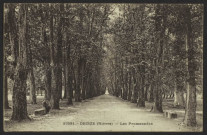23591. - DECIZE (Nièvre) - Les Promenades