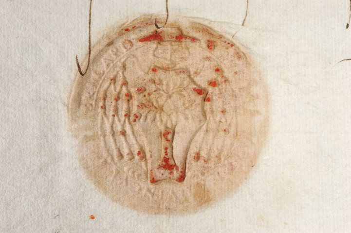 Vêtures et investitures. - Confesseur en l'abbaye et couvent de Decize, nomination du père Cotignon : lettres d'obédience données à Rome (pénultième février 1485).