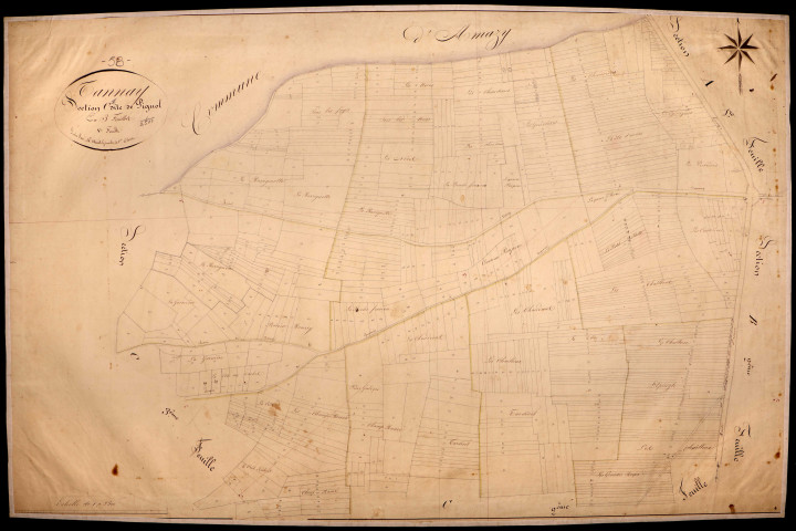 Tannay, cadastre ancien : plan parcellaire de la section C dite de Pignol, feuille 1