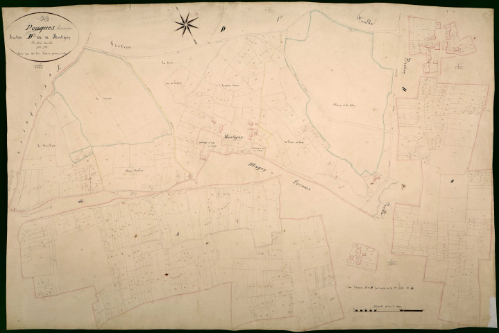 Pouques-Lormes, cadastre ancien : plan parcellaire de la section D dite de Montigny, feuille 3