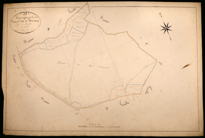 Sauvigny-les-Bois, cadastre ancien : plan parcellaire de la section C dite de Marigny, feuille 1