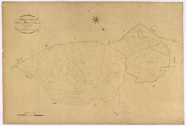 Alligny-en-Morvan, cadastre ancien : plan parcellaire de la section F dite de Marnay, feuille 5