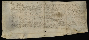 Biens et droits. - Héritages à Palluau en la paroisse de Brinay, vente par Léonard de Norry aux seigneurs de Palluau ses proches parents : contrat.