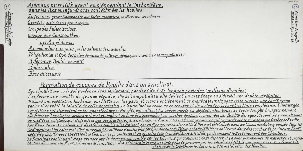 Formation de couches de houille dans un synclinal.