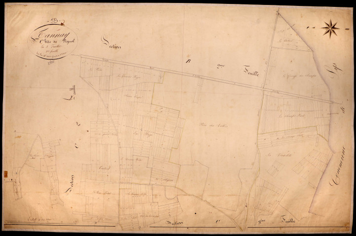 Tannay, cadastre ancien : plan parcellaire de la section C dite de Pignol, feuille 2
