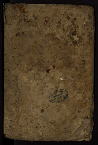 Fief du Tremblay à Isenay : terrier.