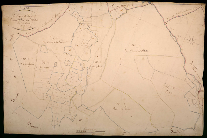 Saint-Léger-de-Fougeret, cadastre ancien : plan parcellaire de la section D dite des Michots, feuille 2