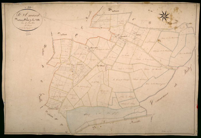 Saint-Amand-en-Puisaye, cadastre ancien : plan parcellaire de la section D dite de la Ville, feuille 3