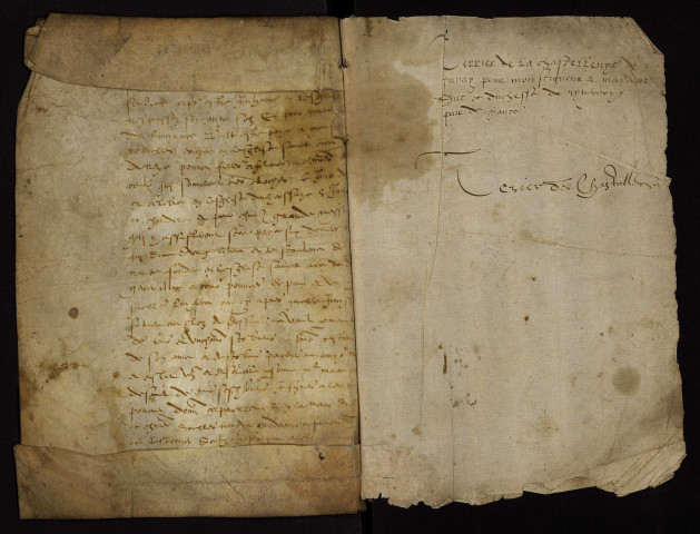 Châtellenie de Gannay-sur-Loire : terrier.