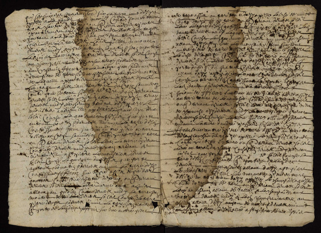 Fief du Graté à Azy-le-Vif : extrait du terrier.